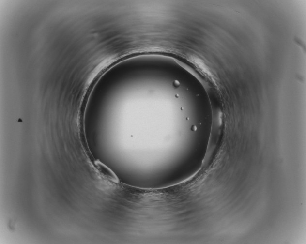 X0000091201181200708161607