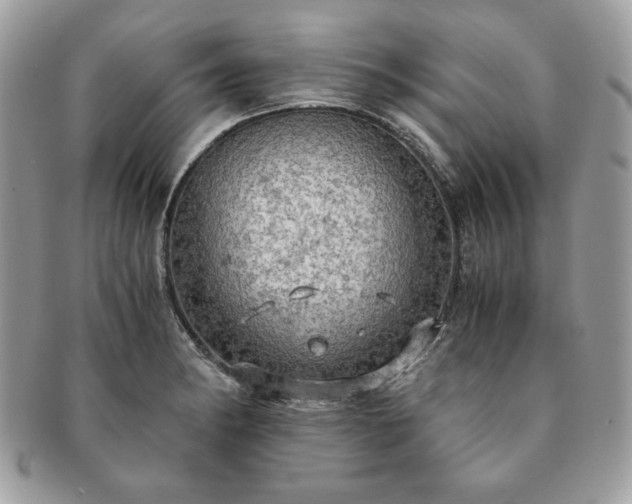 X0000091201182200708161607