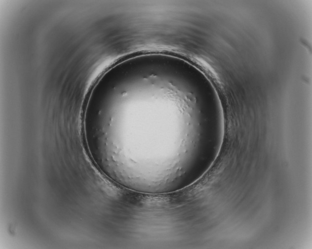 X0000091201183200708161607