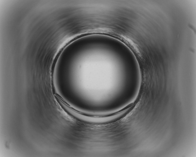 X0000091201184200708161607