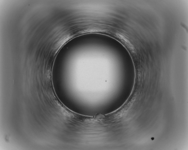 X0000091201185200708161607