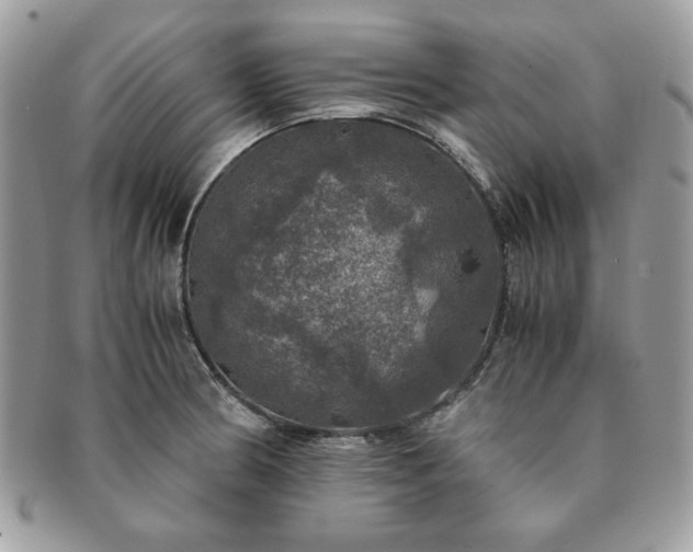 X0000091201186200708161607