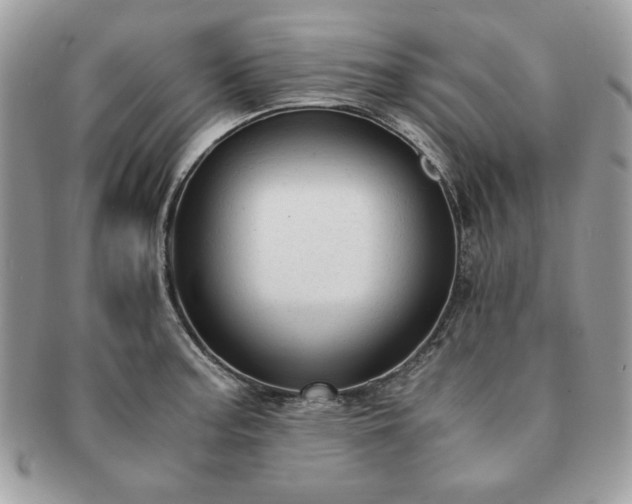 X0000091201187200708161607