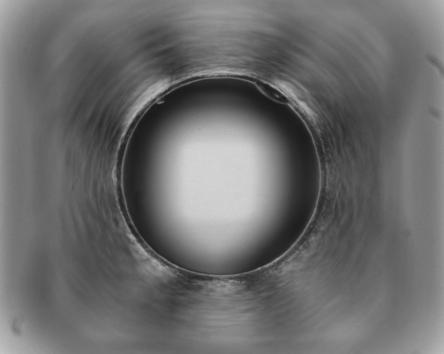 X0000091201189200708161607