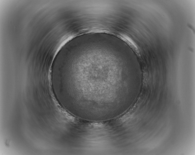 X0000091201190200708161607
