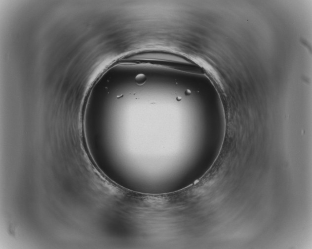 X0000091201191200708161607