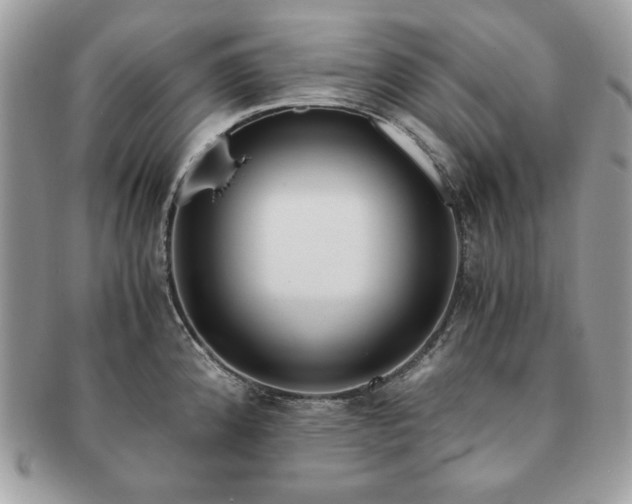 X0000091201192200708161607