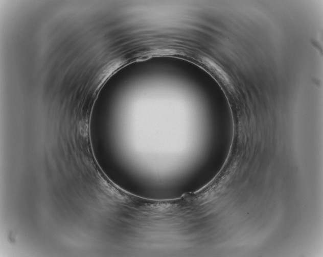 X0000091201193200708161607
