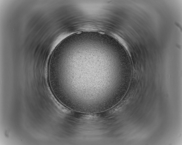 X0000091201195200708161607