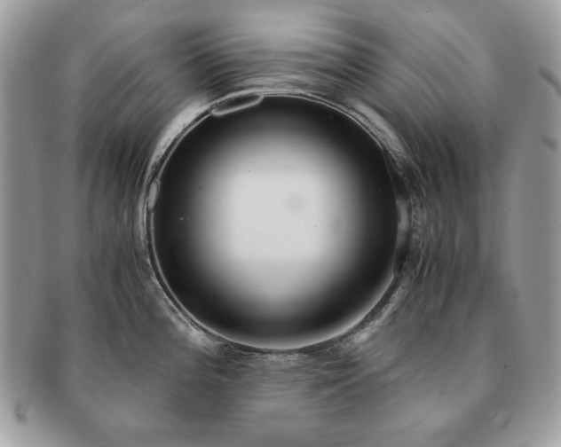 X0000091201196200708161607