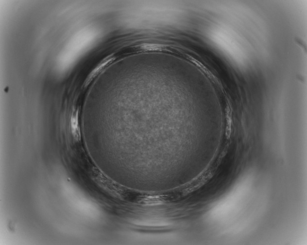 X0000091201198200708161607