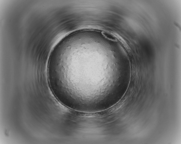 X0000091201199200708161607