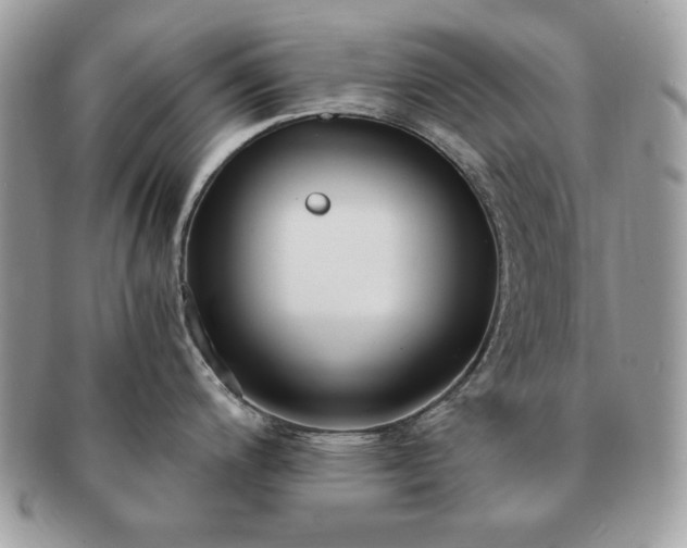 X0000091201200200708161607