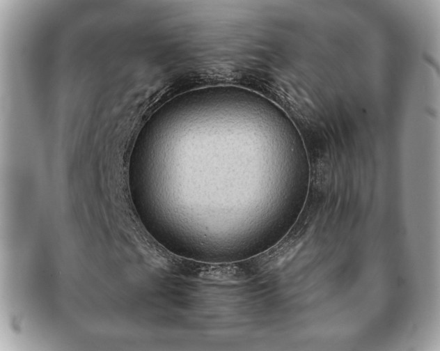 X0000091201201200708161606