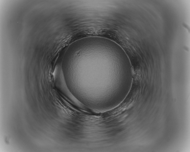 X0000091201202200708161606