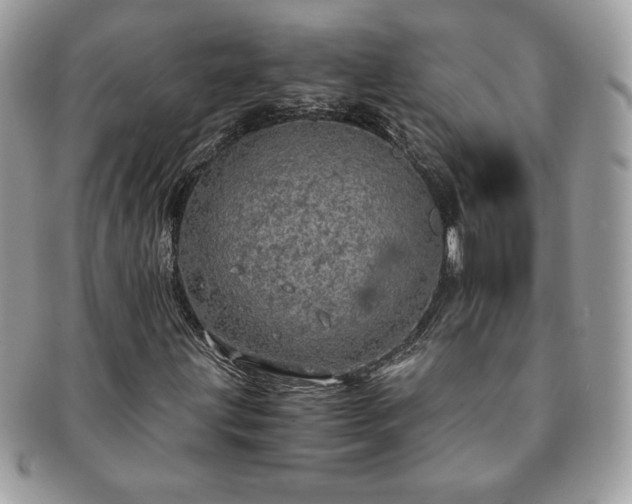 X0000091201203200708161606