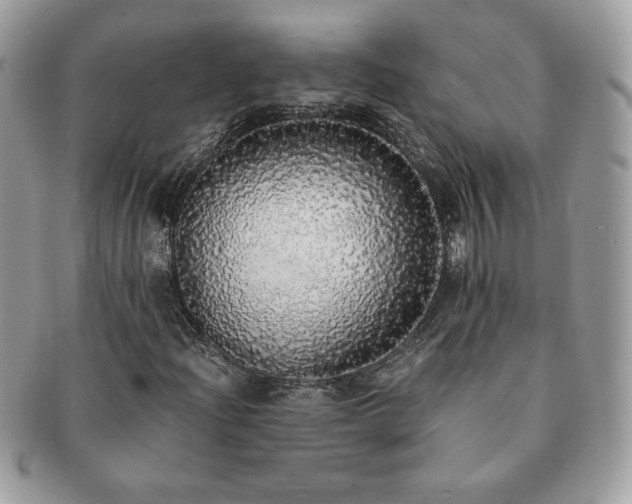 X0000091201204200708161606