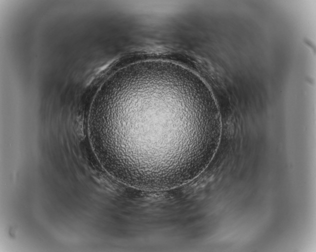 X0000091201205200708161606
