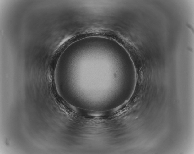 X0000091201206200708161606