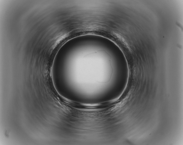 X0000091201210200708161607
