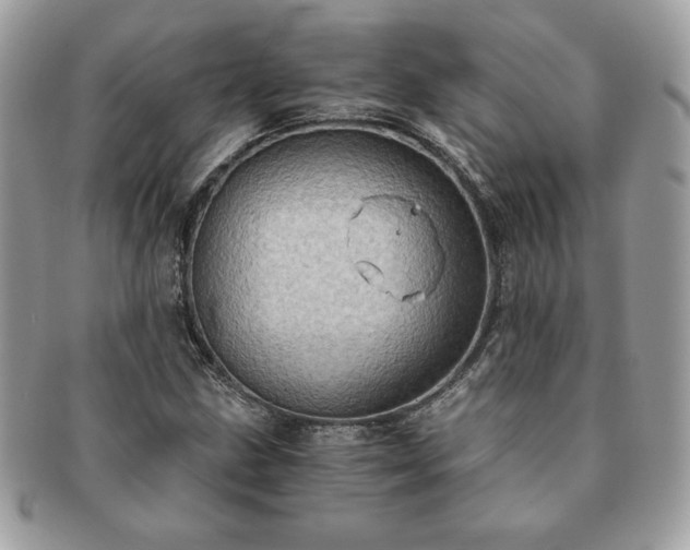 X0000091201211200708161607