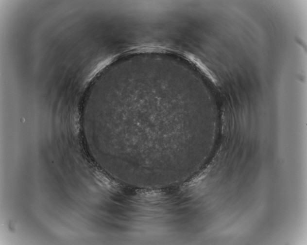X0000091201213200708161607