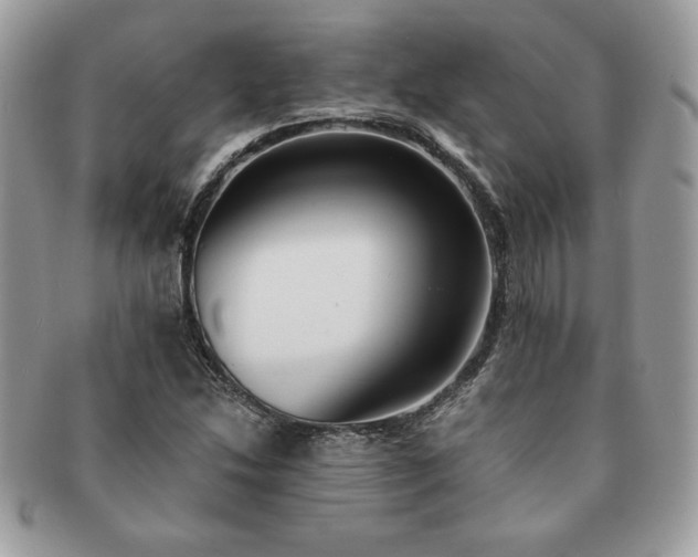 X0000091201214200708161607