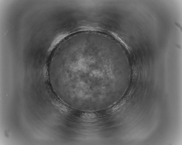X0000091201215200708161607