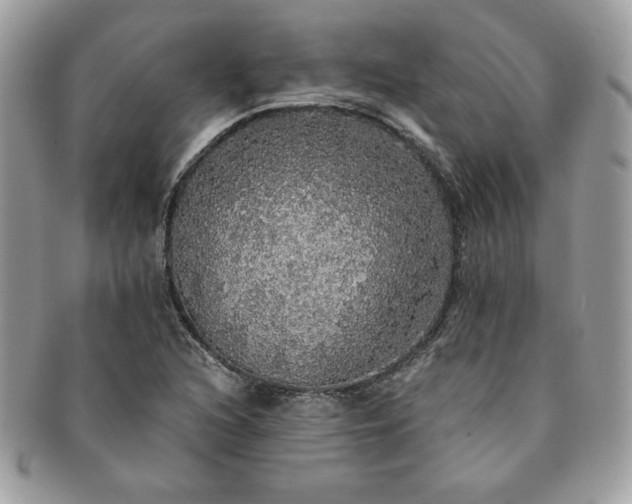 X0000091201216200708161607