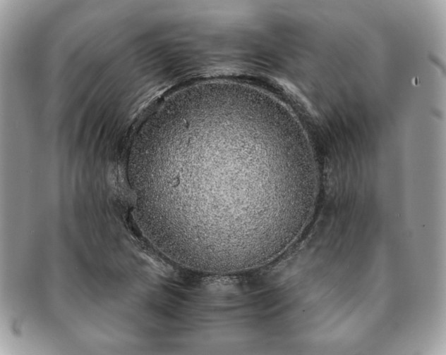 X0000091201217200708161607