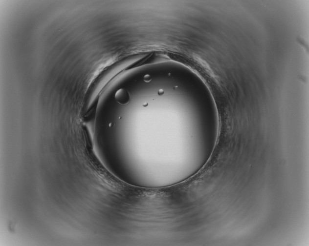 X0000091201218200708161607