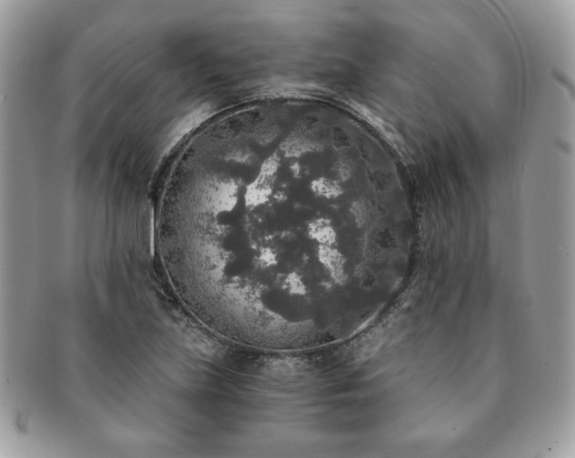 X0000091201219200708161607