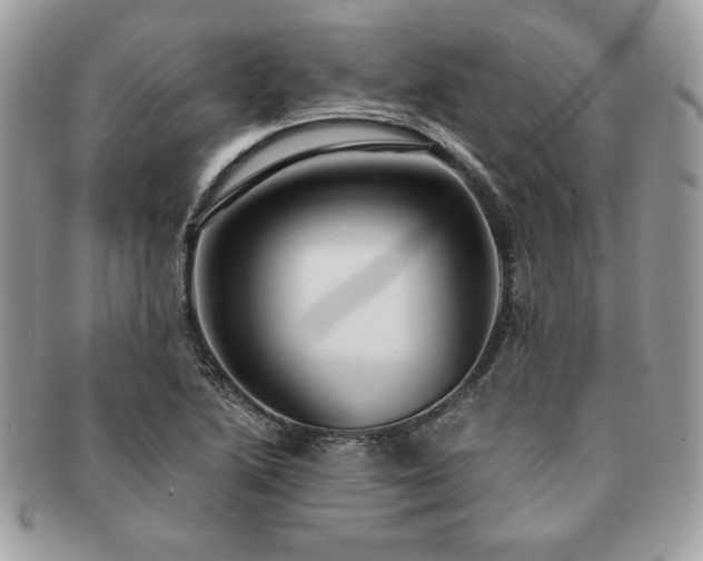 X0000091201222200708161607