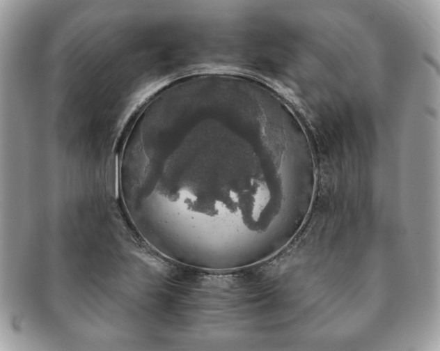X0000091201223200708161607