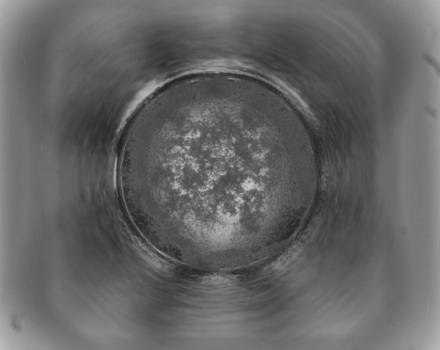 X0000091201224200708161607