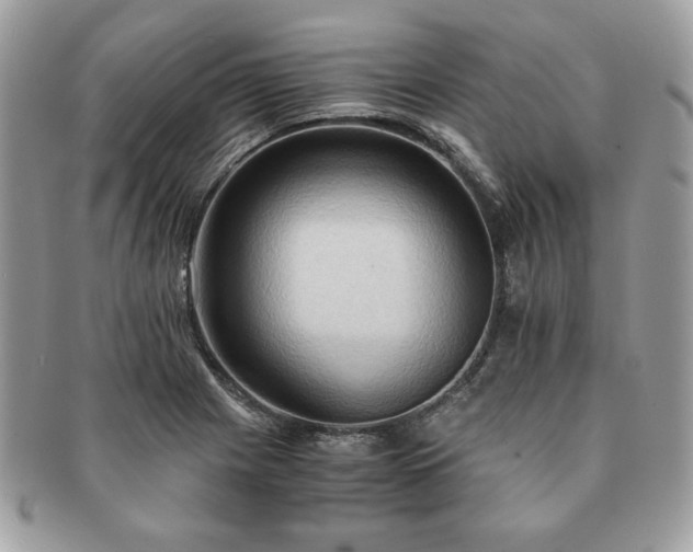 X0000091201225200708161607
