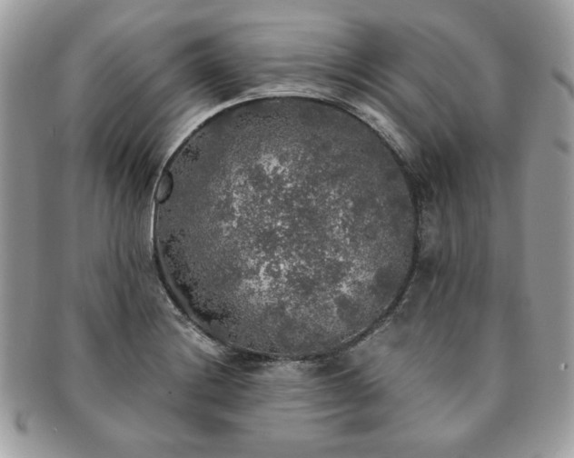 X0000091201228200708161607