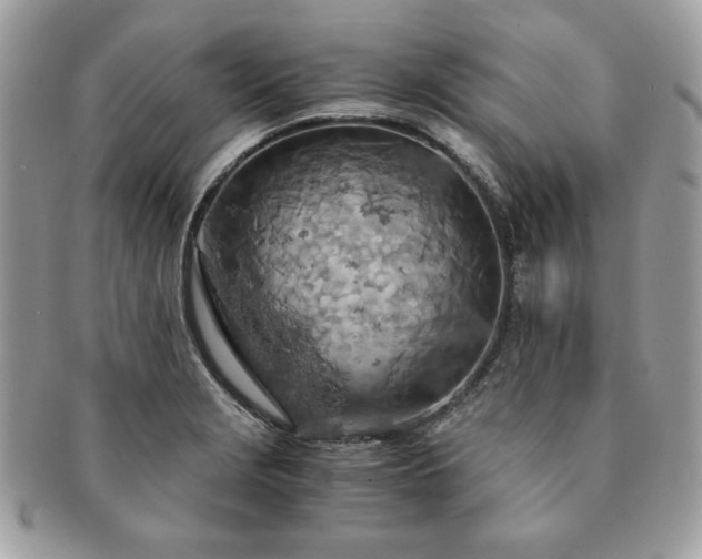 X0000091201229200708161607