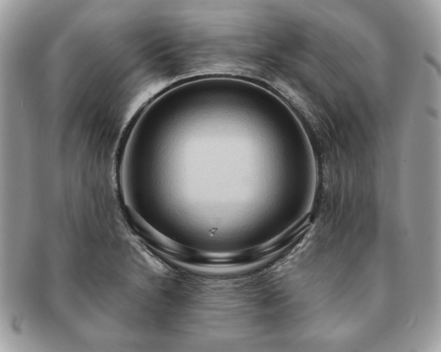 X0000091201230200708161607