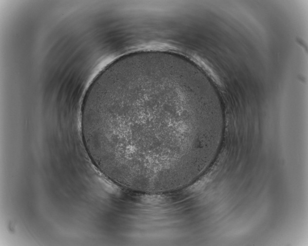 X0000091201232200708161607