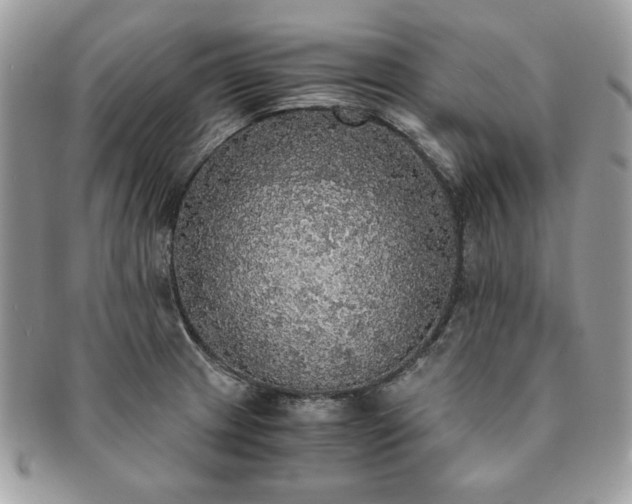 X0000091201233200708161607