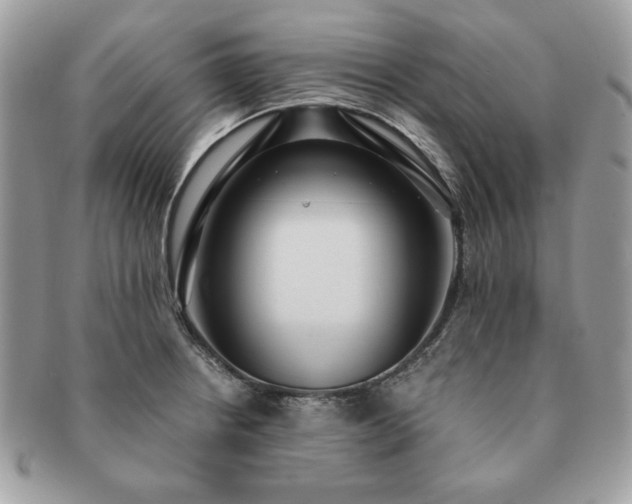X0000091201234200708161607