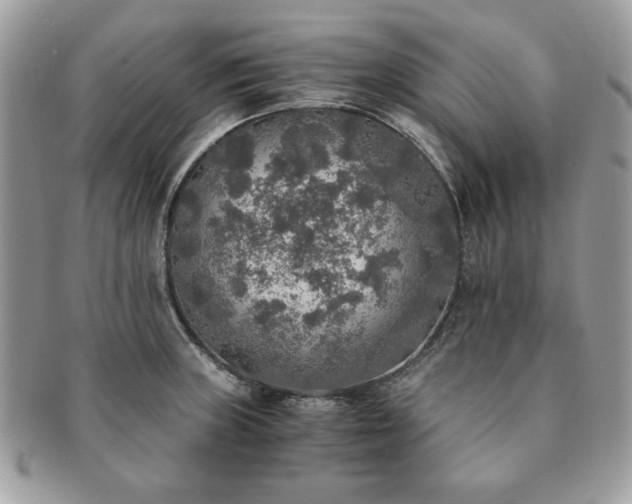 X0000091201235200708161607