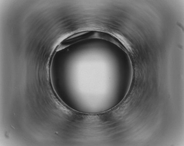X0000091201238200708161607