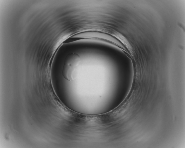 X0000091201242200708161607