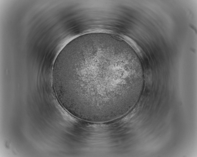 X0000091201244200708161607