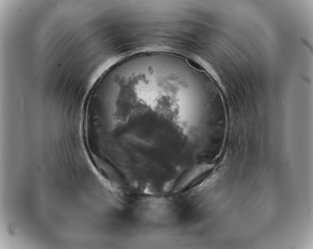 X0000091201245200708161607