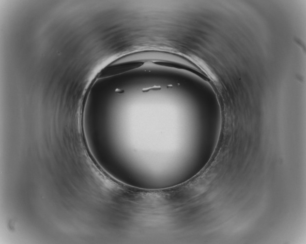 X0000091201246200708161607