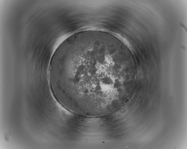 X0000091201247200708161607