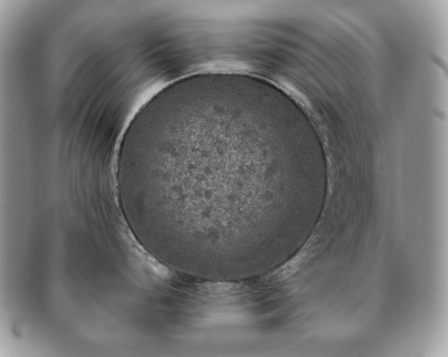 X0000091201248200708161607